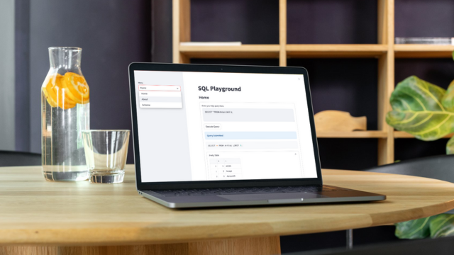 Mockup image of SQL Playground App